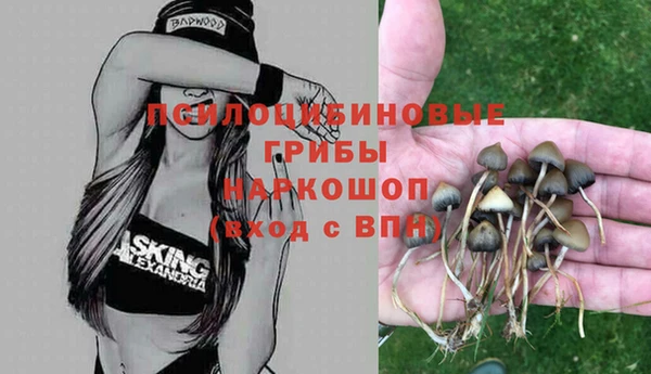 бутират Алзамай