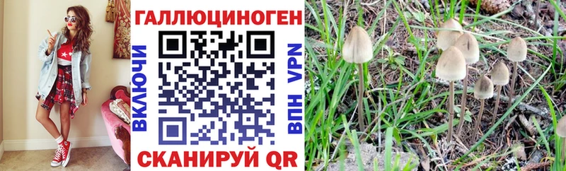 кракен онион  Любань  Галлюциногенные грибы ЛСД 